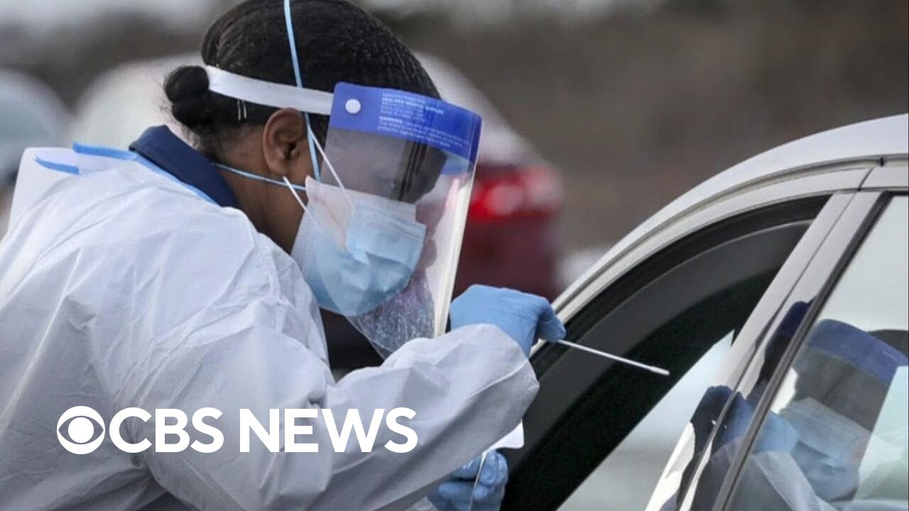 5 years since WHO declared COVID-19 a pandemic