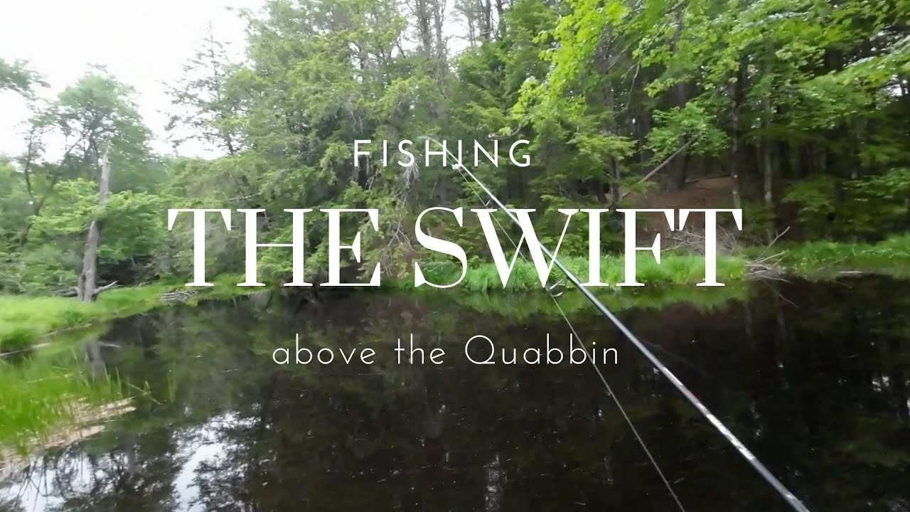 Fishing The northern reaches of the Swift River in Massachusetts