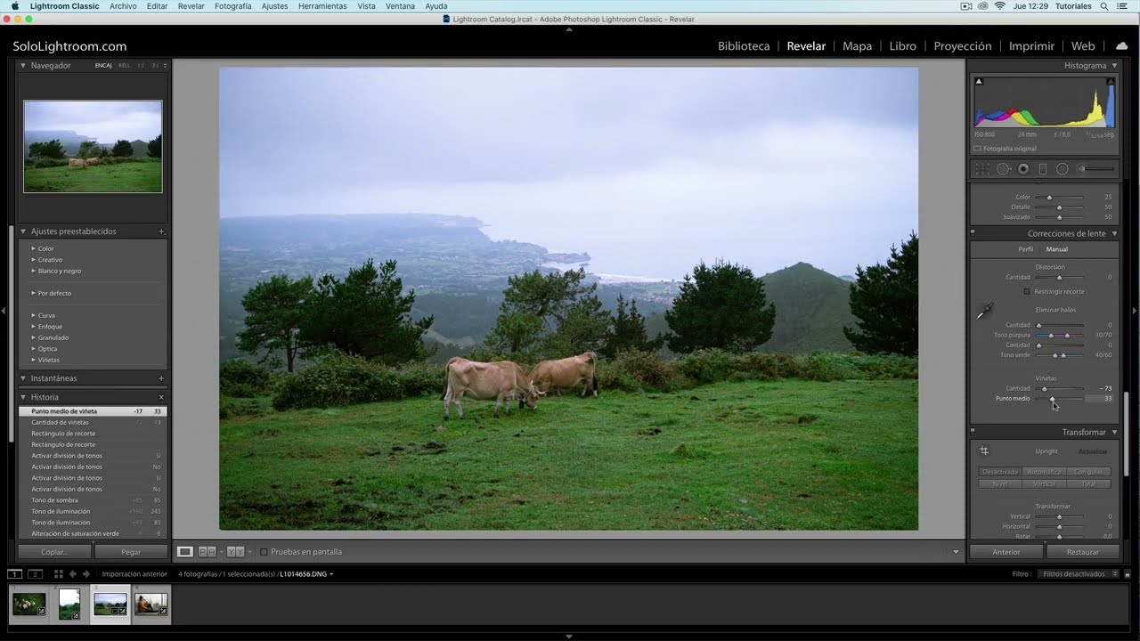 Curso de Adobe Lightroom Classic capitulo 44 - Las viñetas