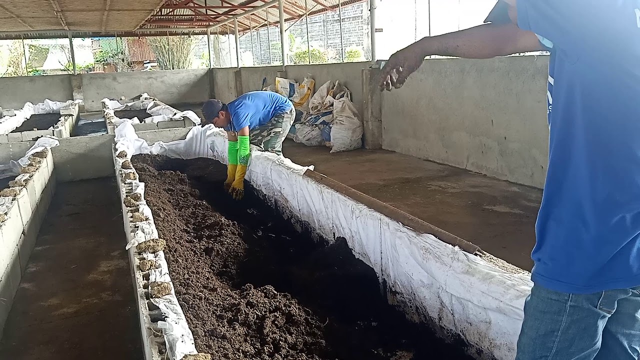 Vermicasts Preparation without Sacrificing Egg Capsules and Juveniles
