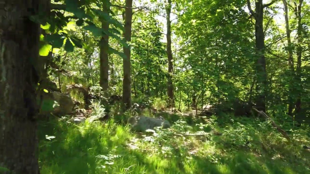 How to convince someone that interviewing is a necessary evil?