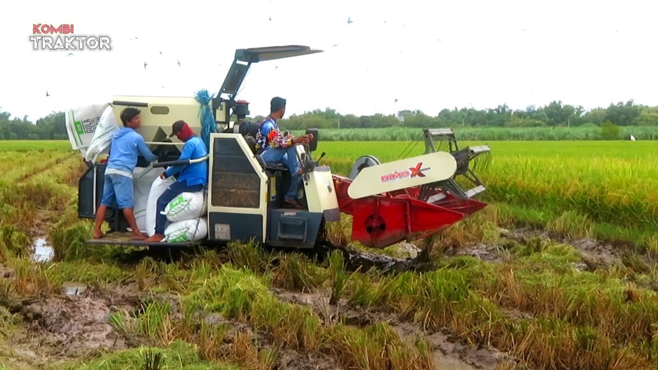 KOMBI SAWAH BIMO XTRIME LAHAN KADUT LUMPUR | Kombi Traktor