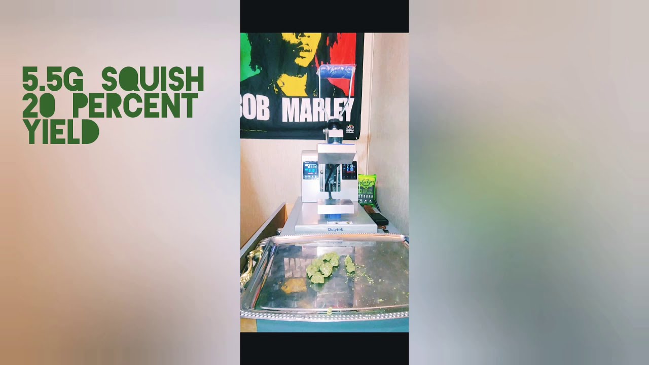 Dulytek DM1005 rosin press! 5.5g 20 percent w