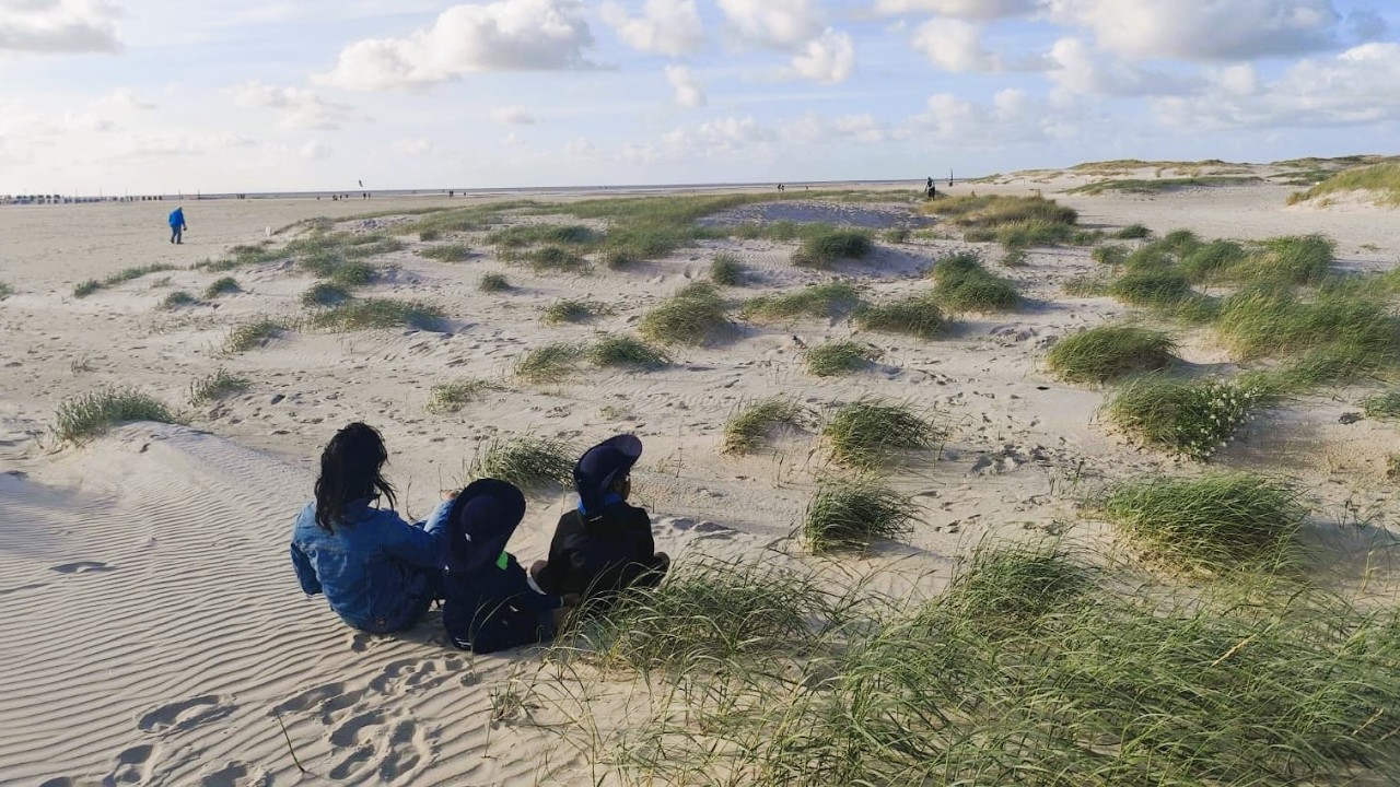 Exploring the Wadden Sea &ndash; UNESCO World Heritage Site 🇩🇪
