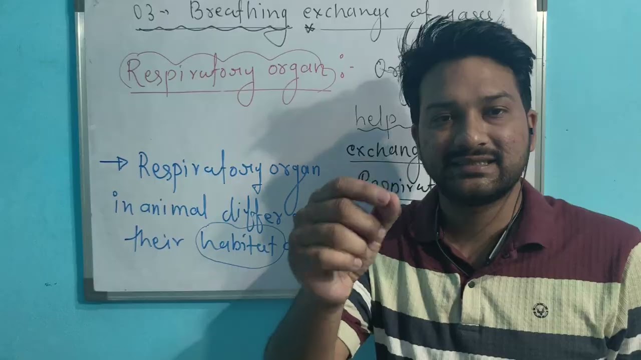 Breathing and Exchange of Gases | Human Respiratory System | NCERT Biology | By Prashant Sir