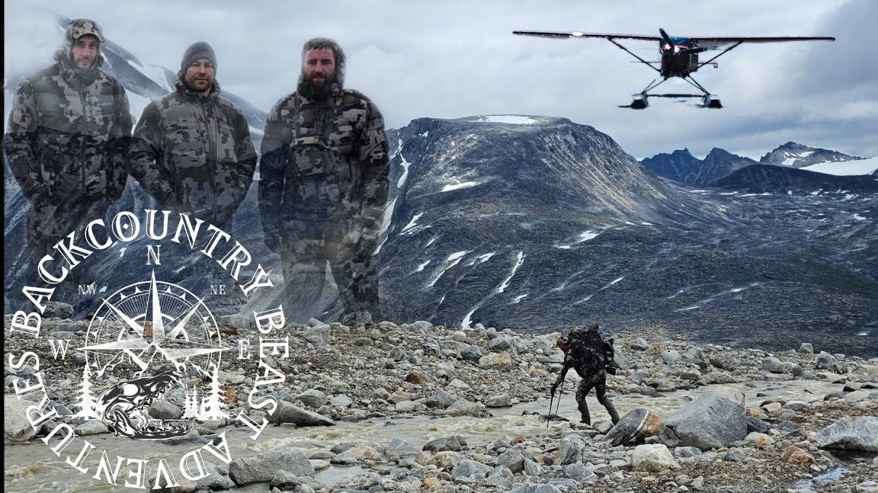 Embrace the suck | A Dall sheep hunt