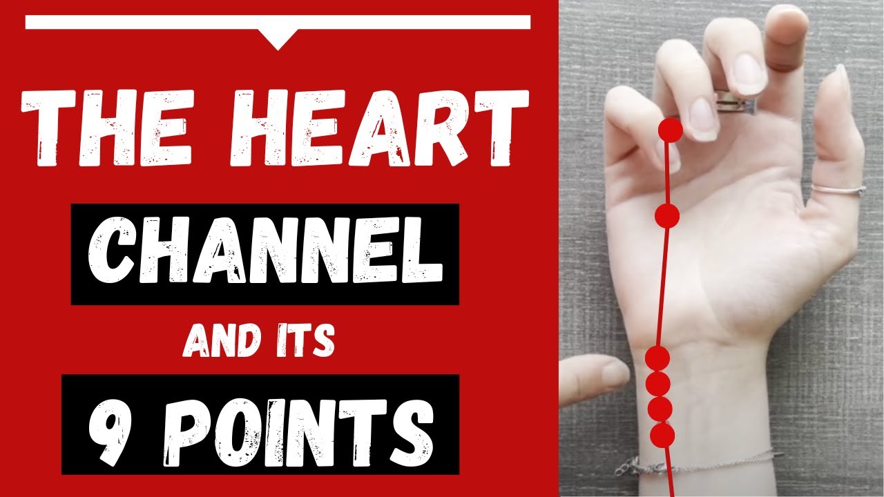 The Heart Channel Meridian & its 9 Heart Acupuncture Points (Functions & Locations)
