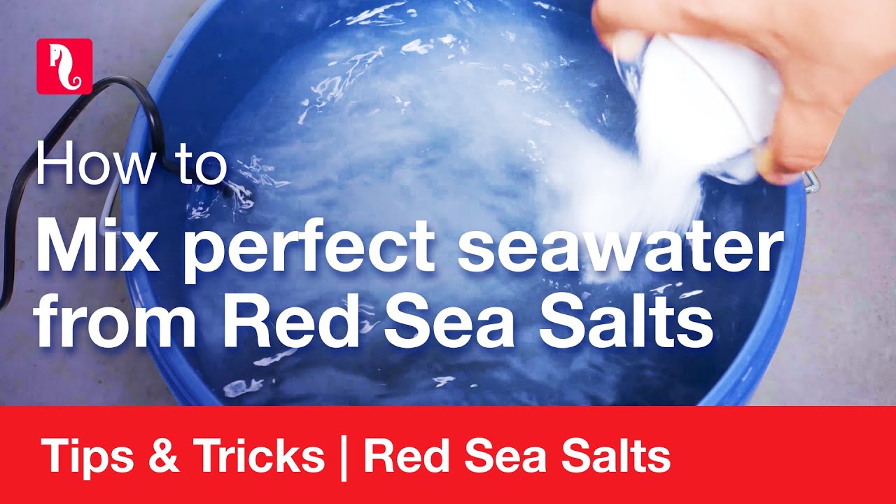 How to mix perfect seawater from Red Sea Salts