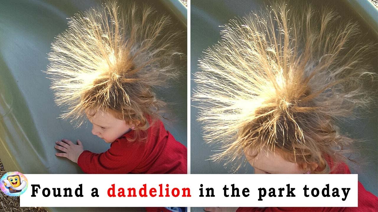 People Share Discoveries That Will Leave You in Awe