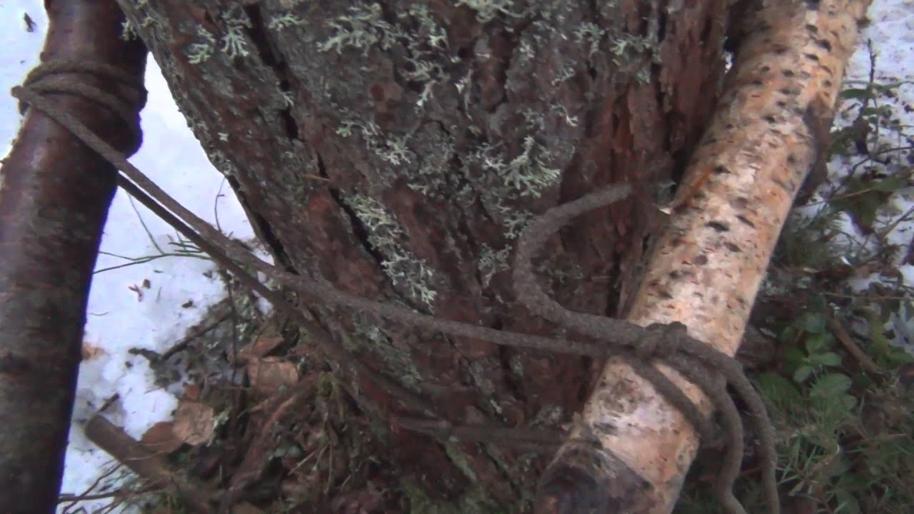 Полезные советы туристам  Как сделать кресло в лесу  Часть 2