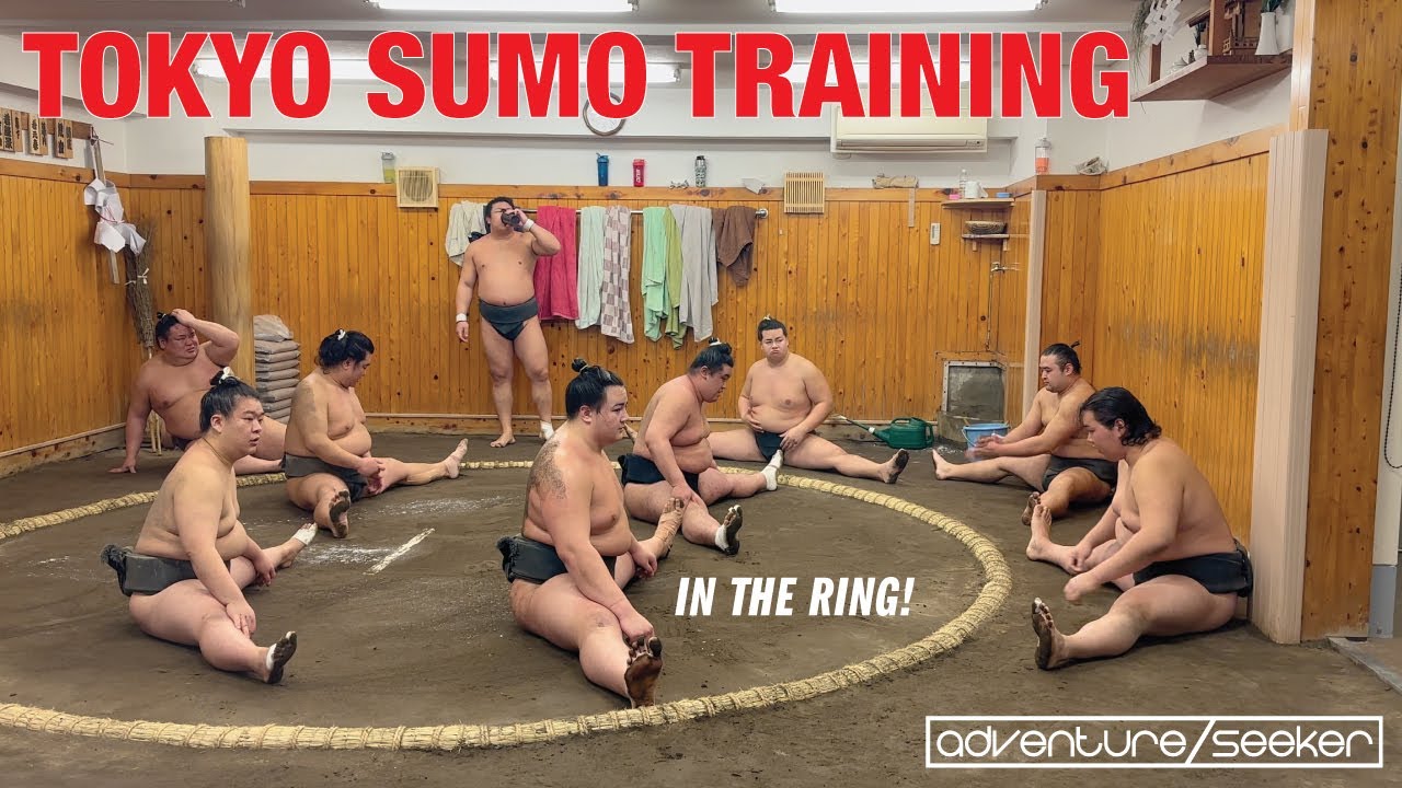Tokyo Sumo Training: Experience the World of Sumo Wrestling for Free! #japan #sumo #explore