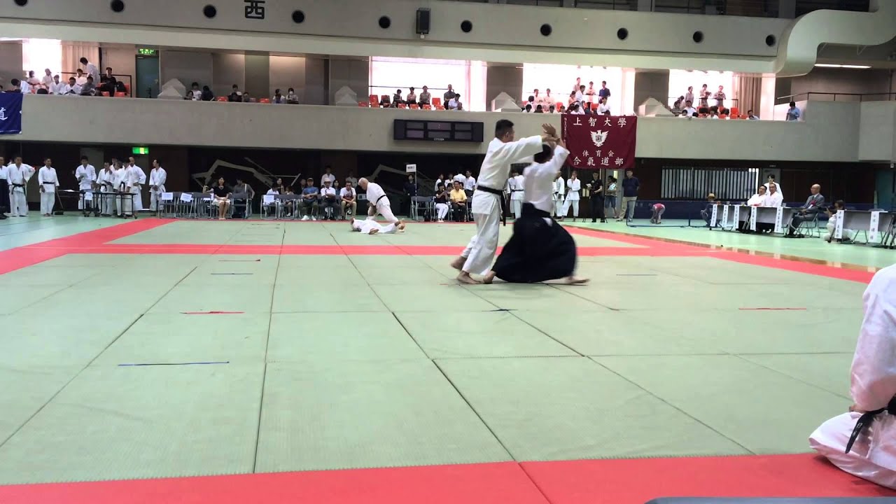 合気道 錬身会 青木先生演武