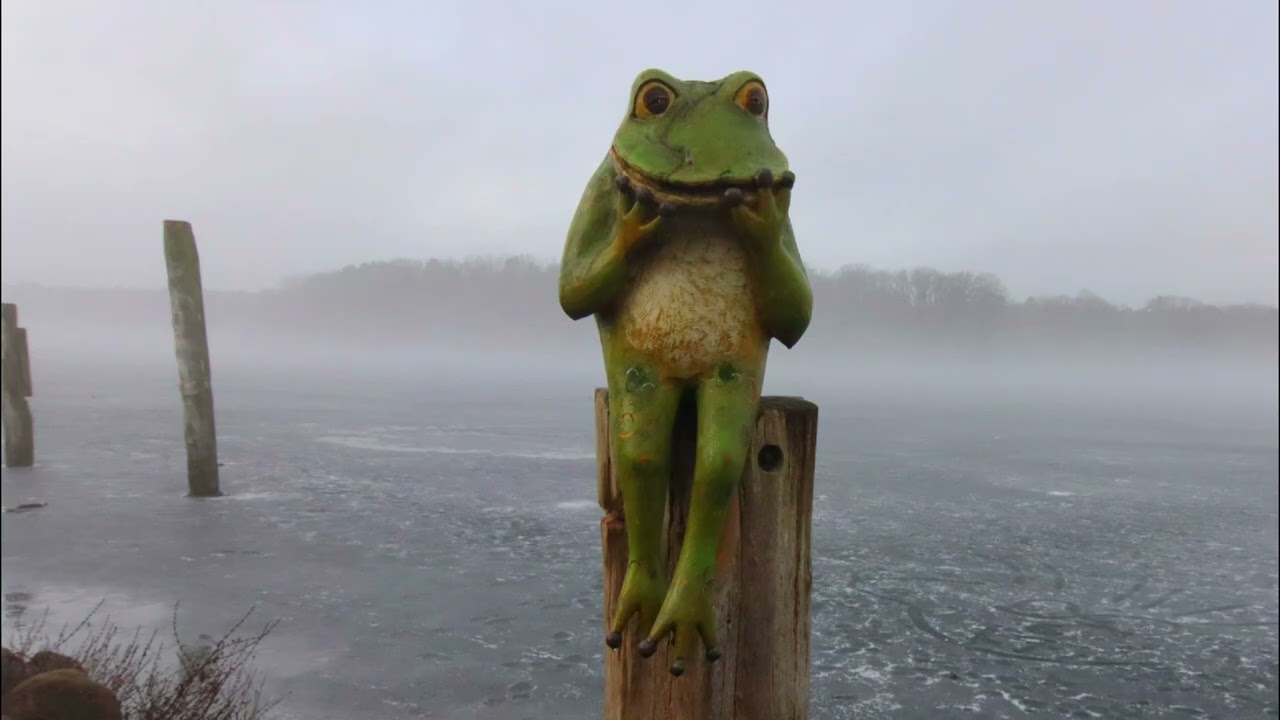 Im Nebelland viel erkannt 