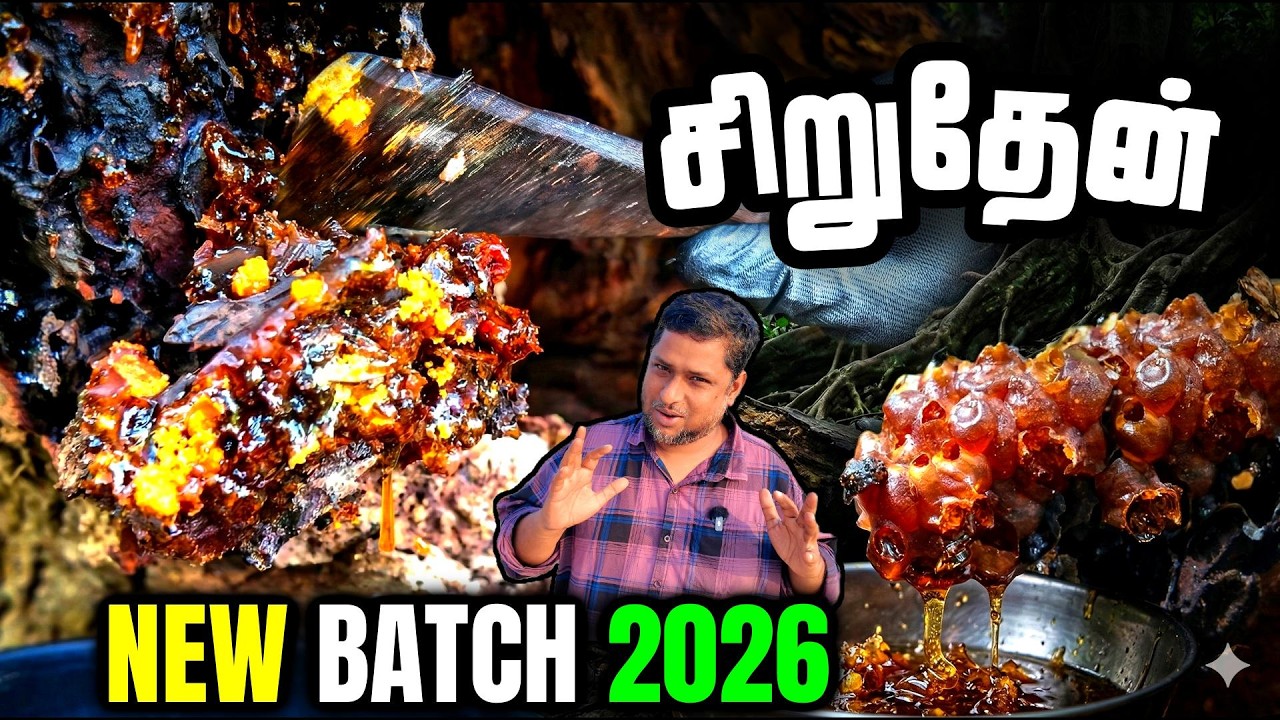 சிறுதேன் | நியூ பேட்ஜ் | பிப்ரவரி 2026