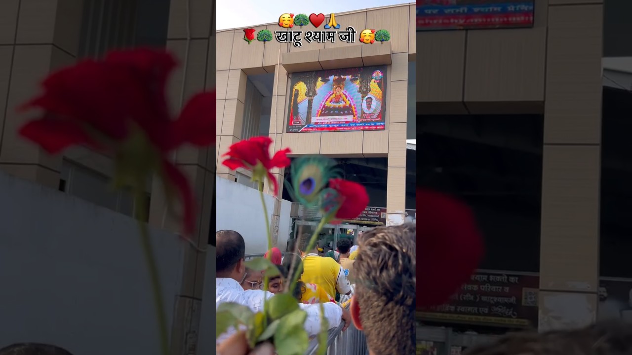 मेरी हल मुश्किल का हल बन जाता तू ही है 💖🌸 #shyambaba #viralvideo #shortsfeed