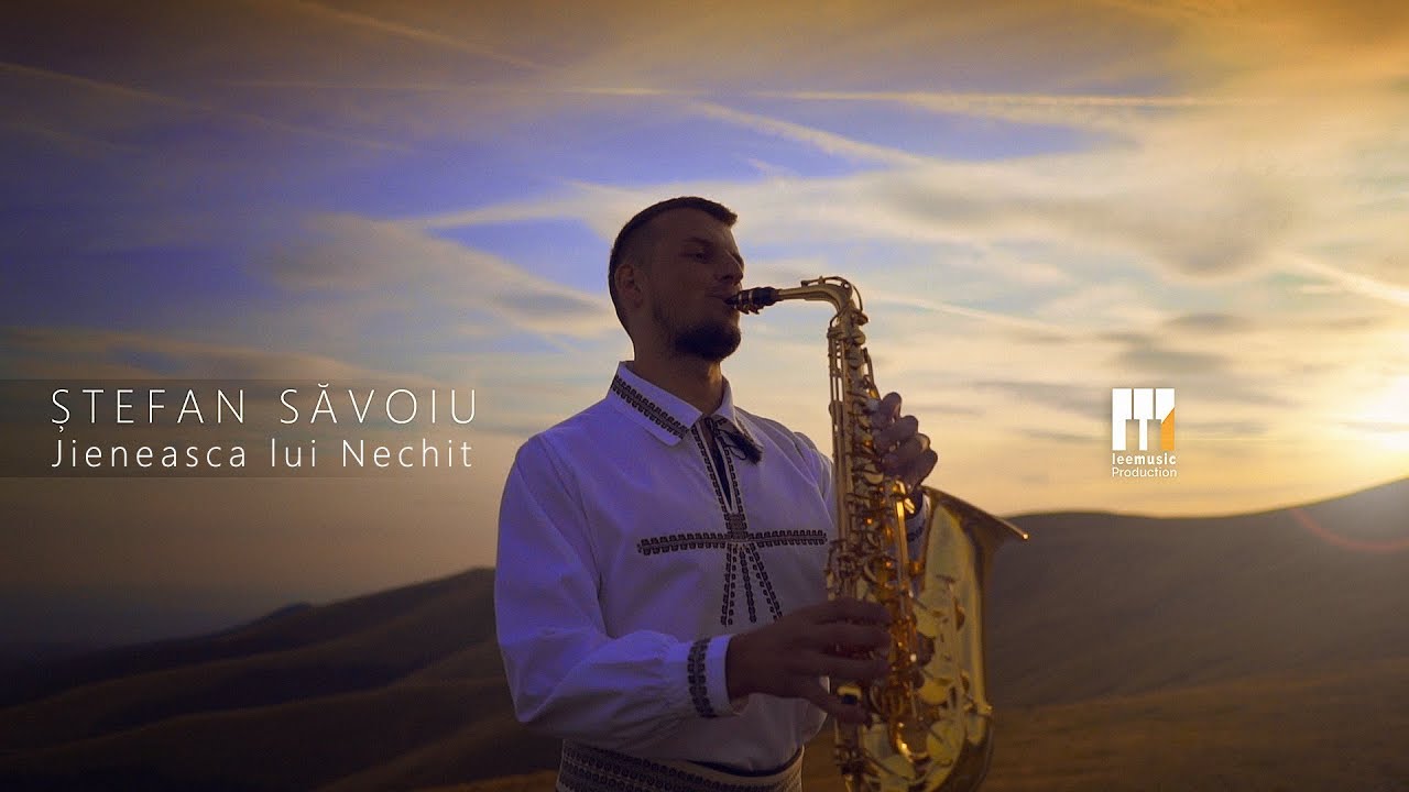 Ștefan Săvoiu - Jieneasca lui Nechit