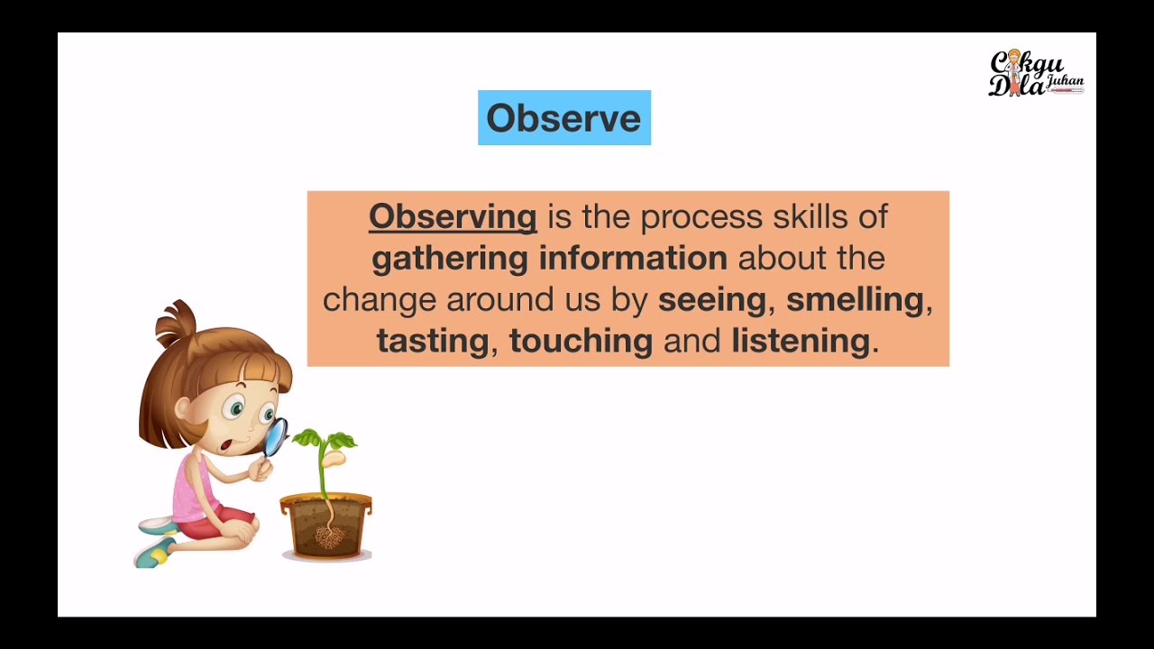 Science year 2 |Scientific Skills|