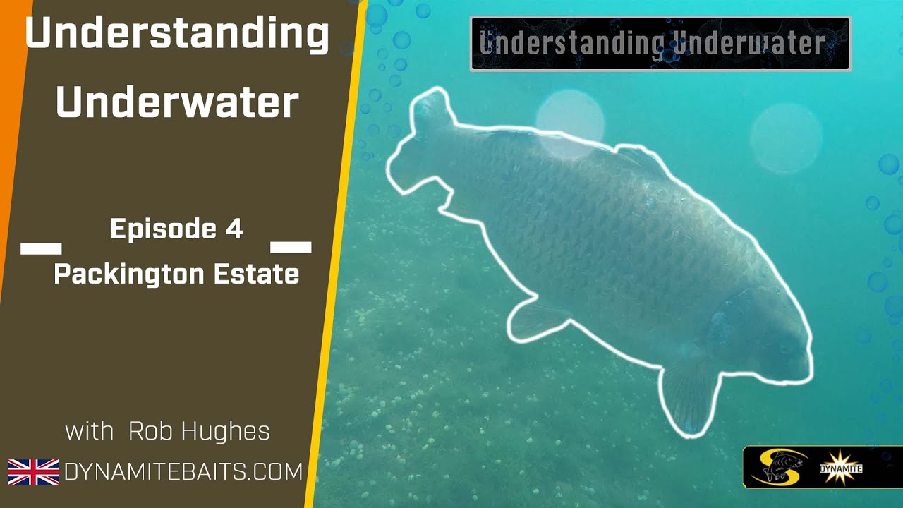 Carp Fishing: Understanding Underwater 4 – How to Fish Bars & Shelves