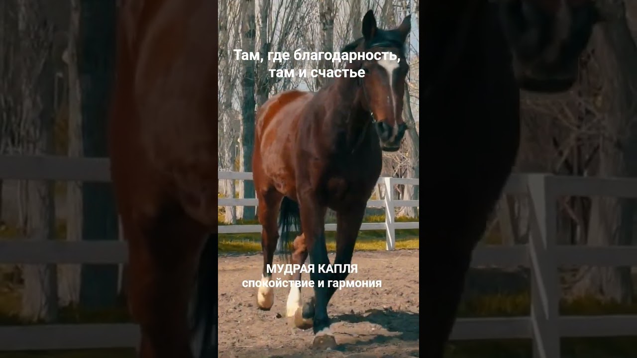 #благодарность