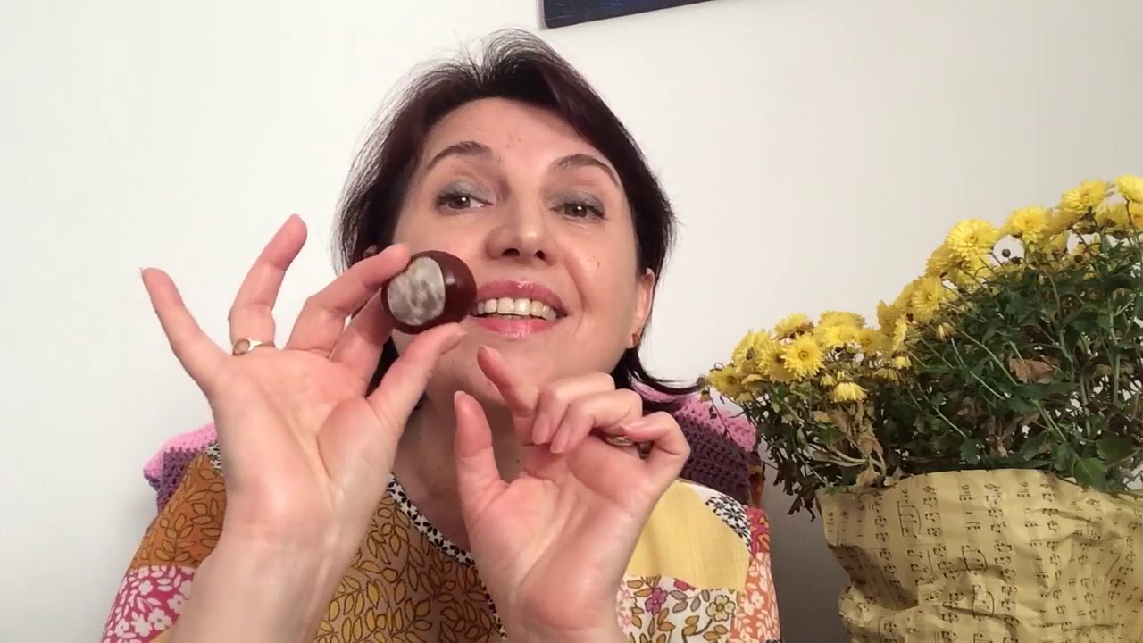Educație muzicală - Cântecul castanelor - Prof. Iulia-Claudia Modoranu