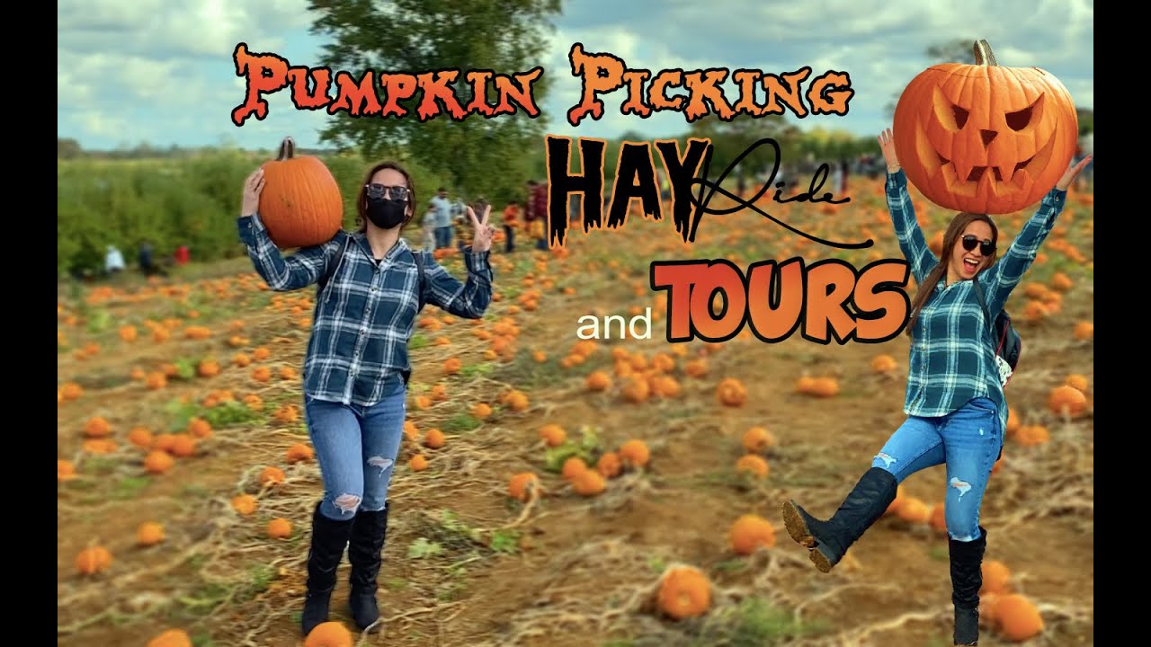 BATTLEVIEW Orchards New Jersey || Pumpkin Apple Farm || Hayride-Picking