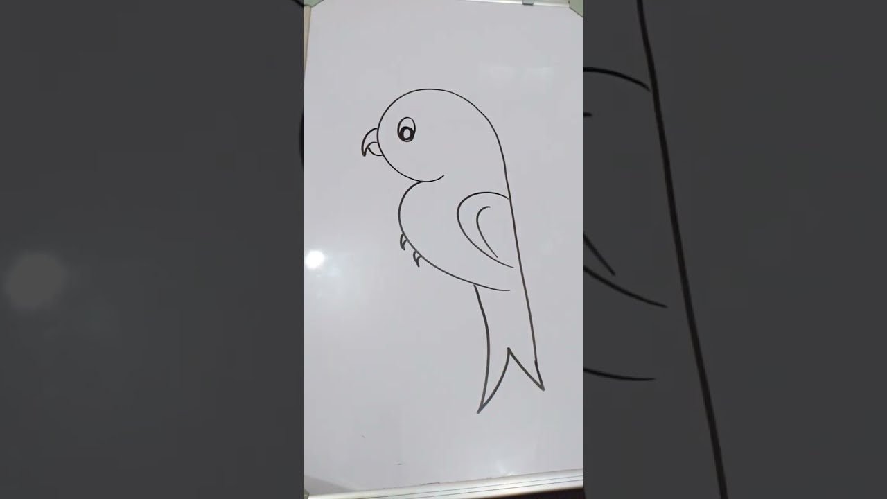 drawing live