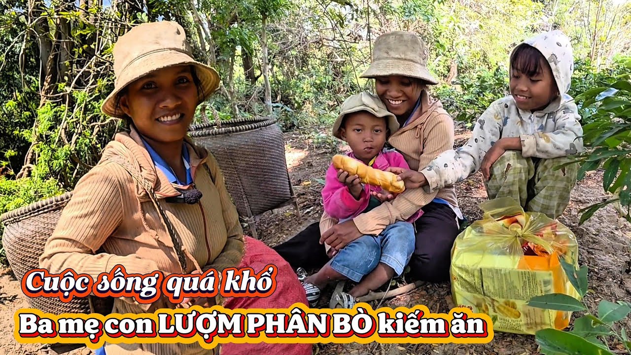 Gặp ba mẹ con nhỏ GIỮA RỪNG đi lượm phân bò kiếm ăn || 499