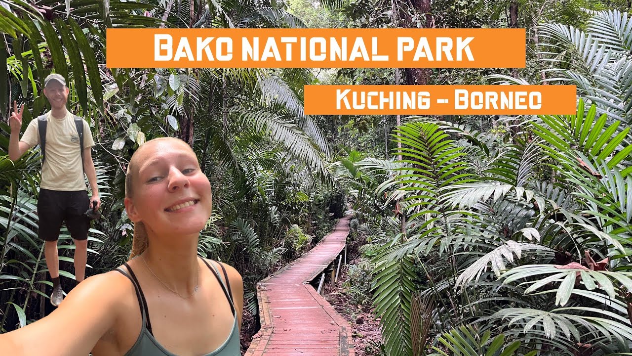 Alles wat je moet weten over BAKO NATIONAL PARK, Kuching - Borneo, Proboscis, Leaf Monkey, Maleisië!