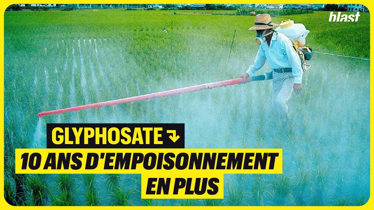 GLYPHOSATE : 10 ANS D'EMPOISONNEMENT EN PLUS