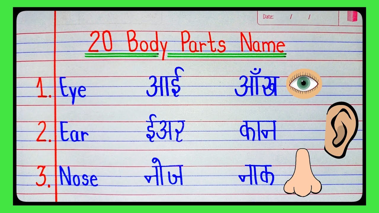 20 Body parts name in English and Hindi/शरीर के अंगों के नाम/Human Body Parts Name/20 Body Part Name