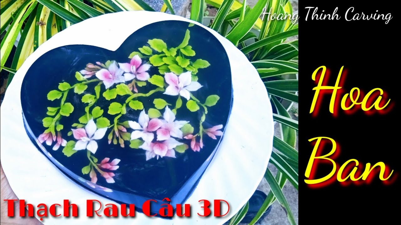 Thạch Rau Câu 3D - Vẽ Hoa Ban Bằng Kim Y Tế G18