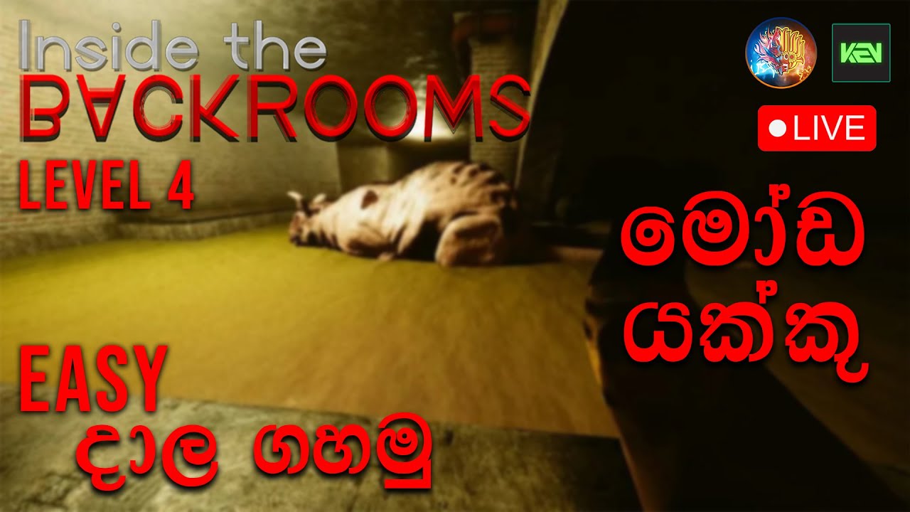 Inside the Backrooms නතින්  | Level 4 Ft.