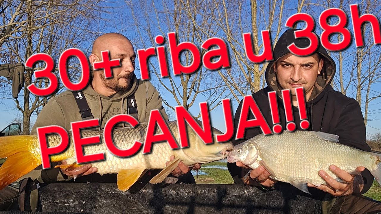 30+ riba u 38h PECANJA!