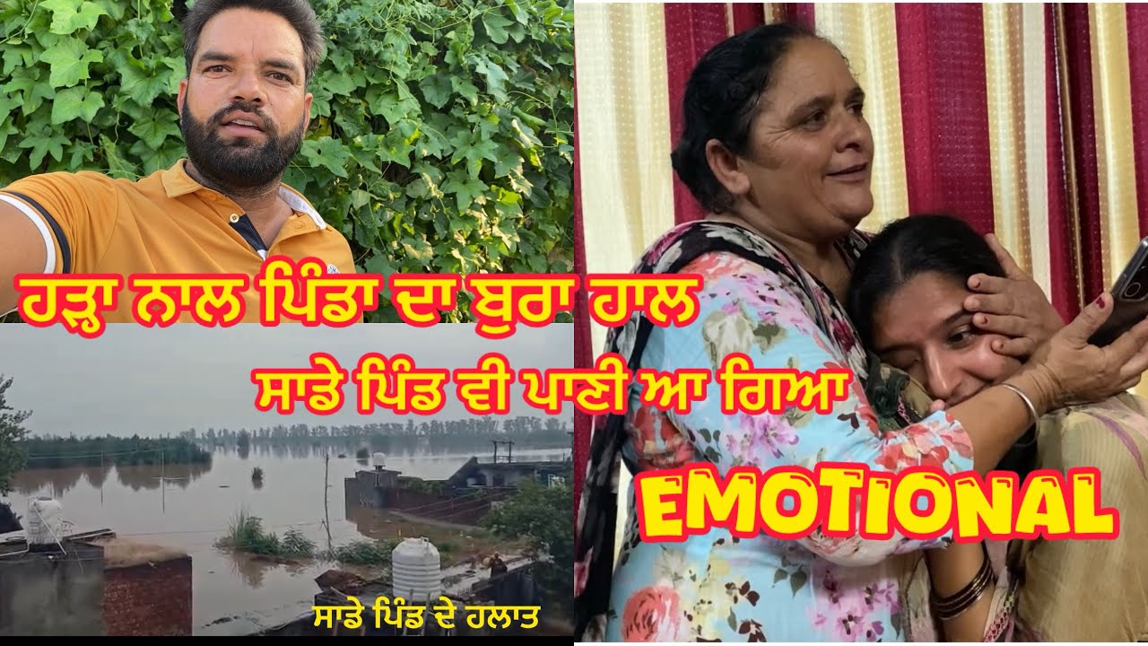 Ravi | ਦਰਿਆ ਦੀ ਲਪੇਟ ਵਿਚ ਆਇਆ ਸਾਡਾ ਵੀ ਪਿੰਡ |27-8-2025 ਬਹੁਤ ਹੀ ਬੁਰੇ ਹਾਲ 