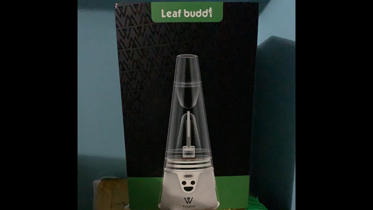 Leaf Buddi Wuukah Electronic Rig Unboxing 2020