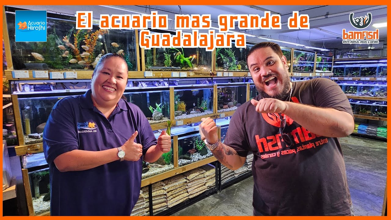 El Acuario más GRANDE de Guadalajara