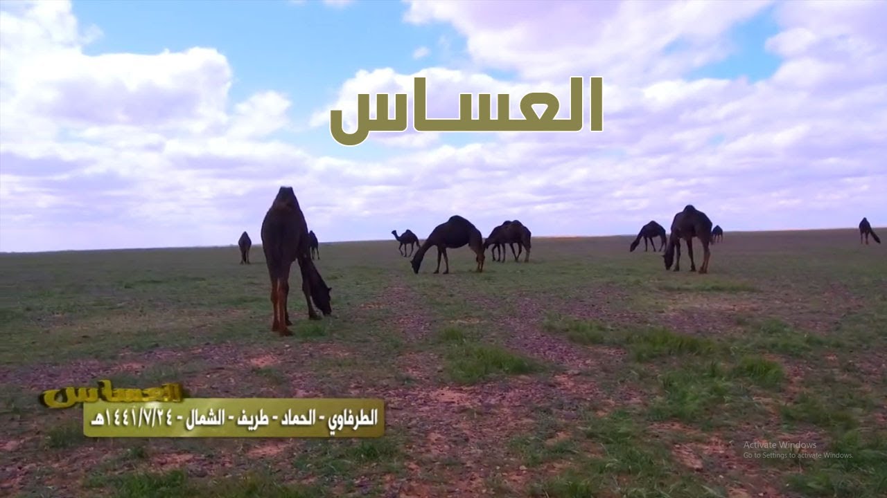 برنامج العساس - الطرفاوي - الحماد - طريف - الشمال  24-7-1441هـ