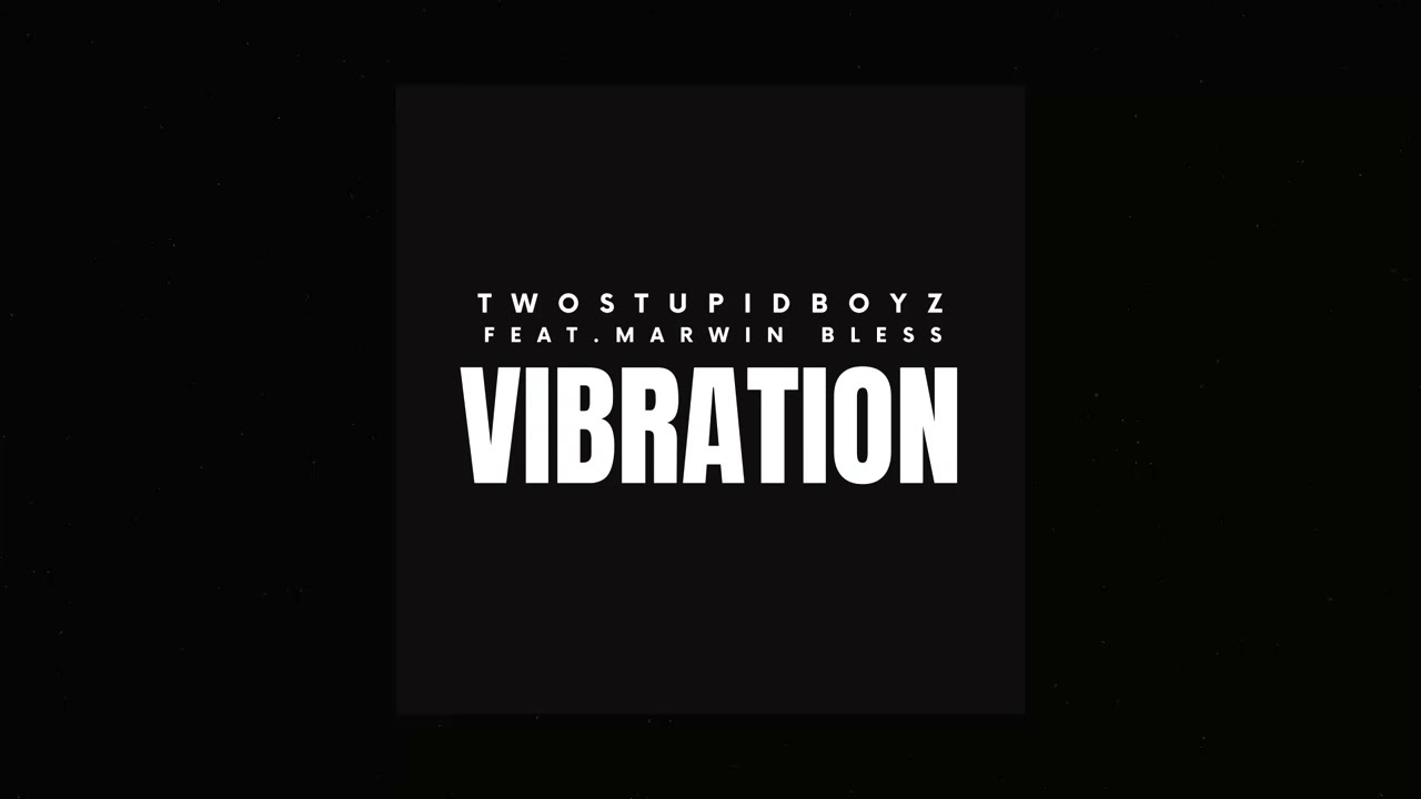 Twostupidboyz feat.Marwin Bless - Vibration (Official Audio)