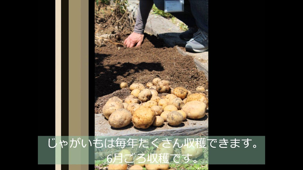 アグリス成城の一年