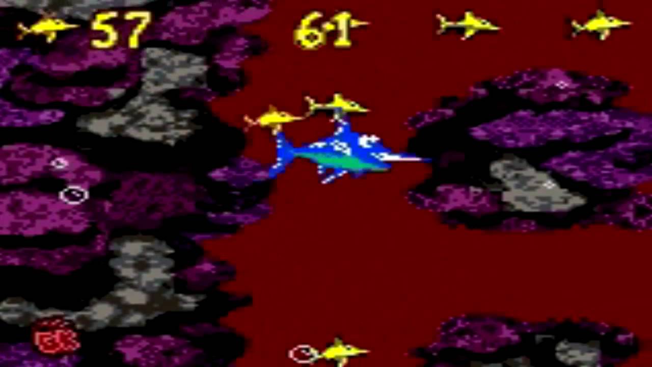 Donkey Kong Country [GBC] - Enguarde Bonus