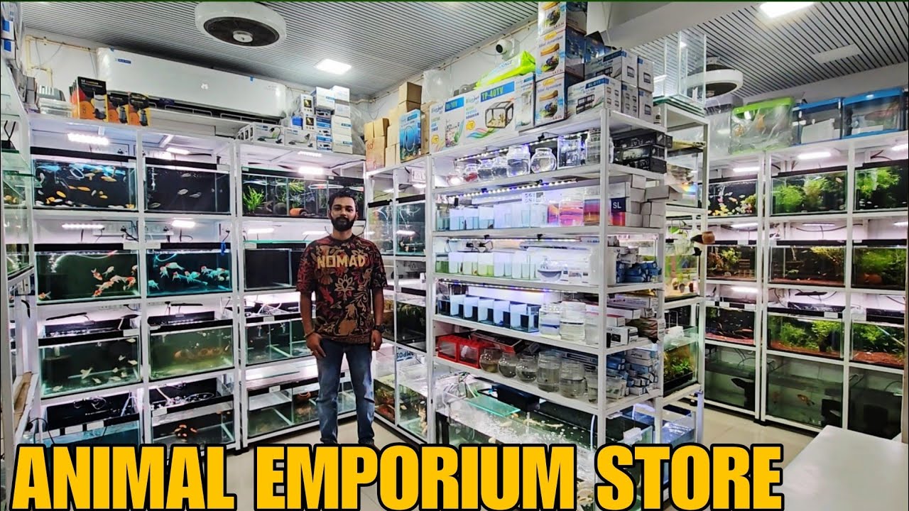 Biggest Aquarium Fish And Pet Shop In Mira Road | Animal Emporium 