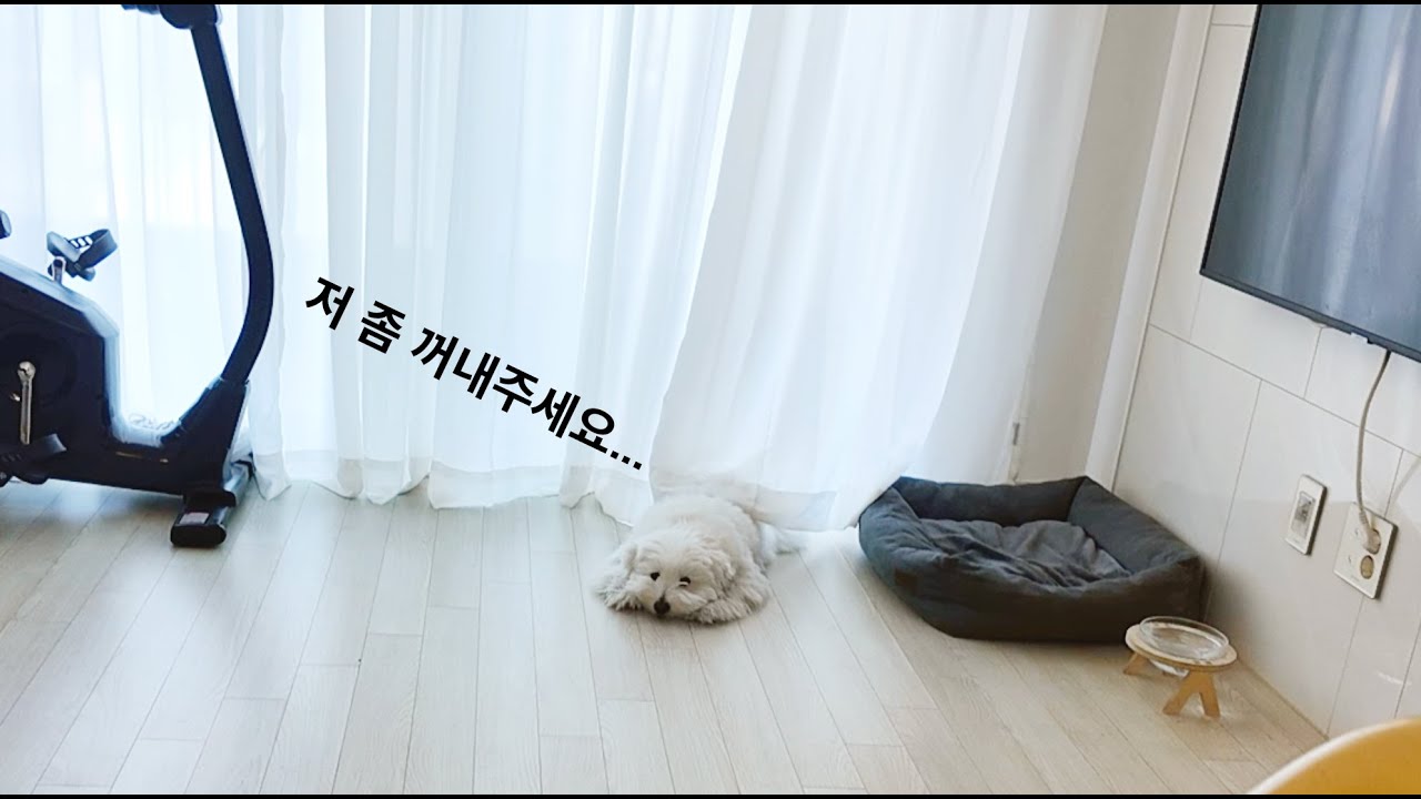 바닥과 한 몸이 되...  