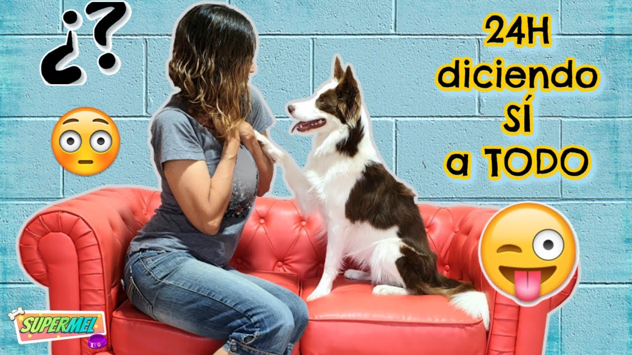 24 Horas diciendo SÍ a TODO a mi PERRO! Mel