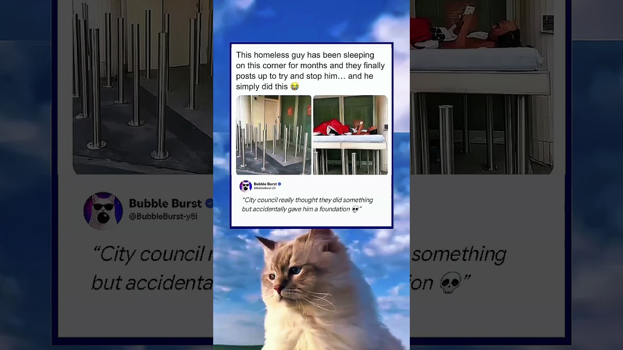 bro outsmarted city council 💀 | funny memes | dank memes | relatable american memes