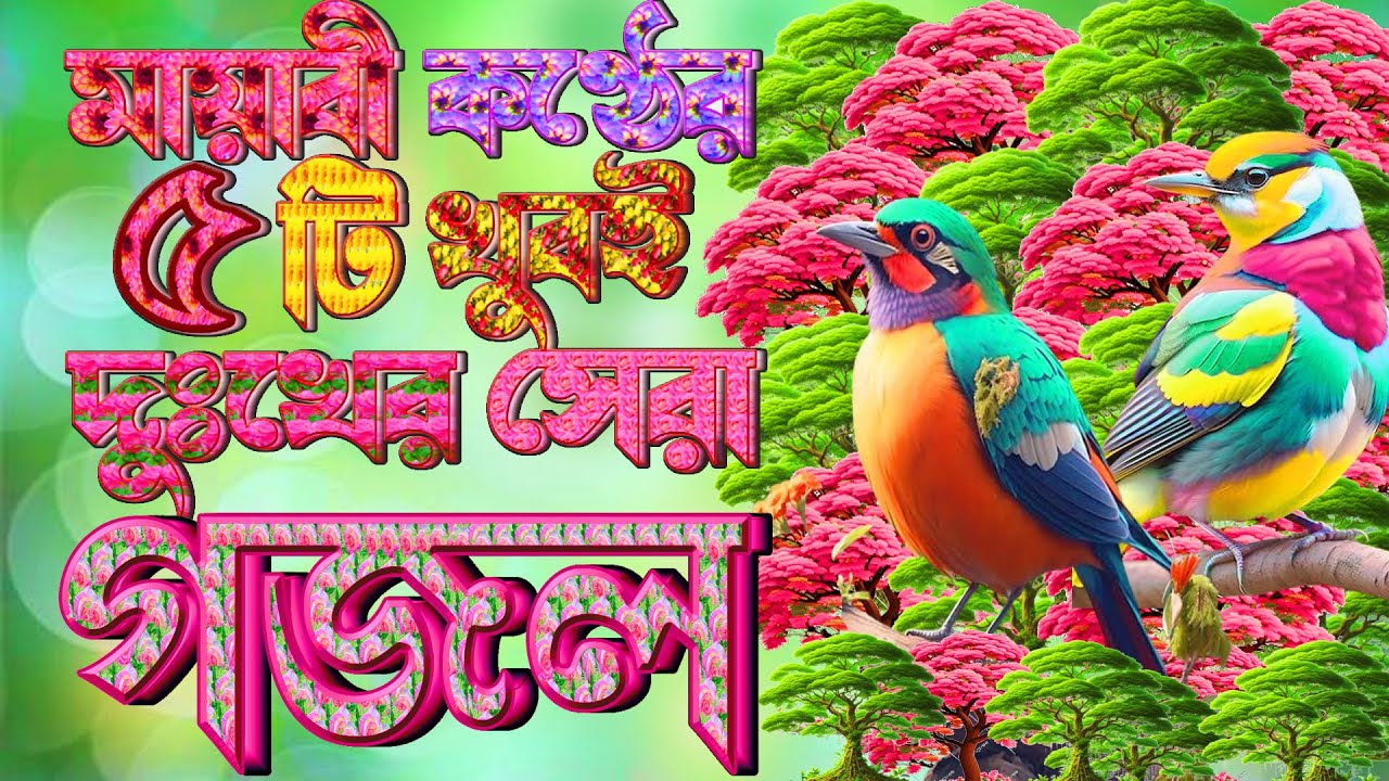 হৃদয় ছোয়া কন্ঠের খুবই দুঃখের পাছটি বাছাই করা গজল |New Five Selected Islamic Gojol