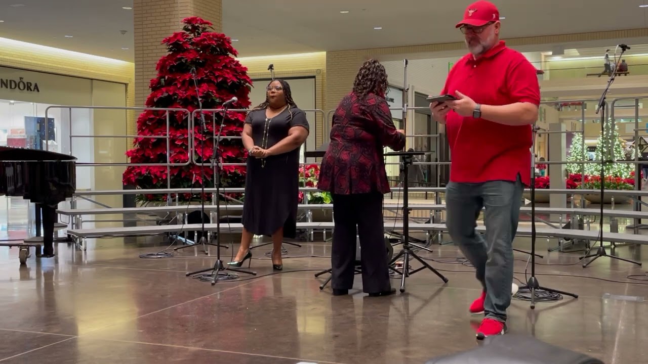 Voices of Empowerment @ NorthPark Mall. December 2024.