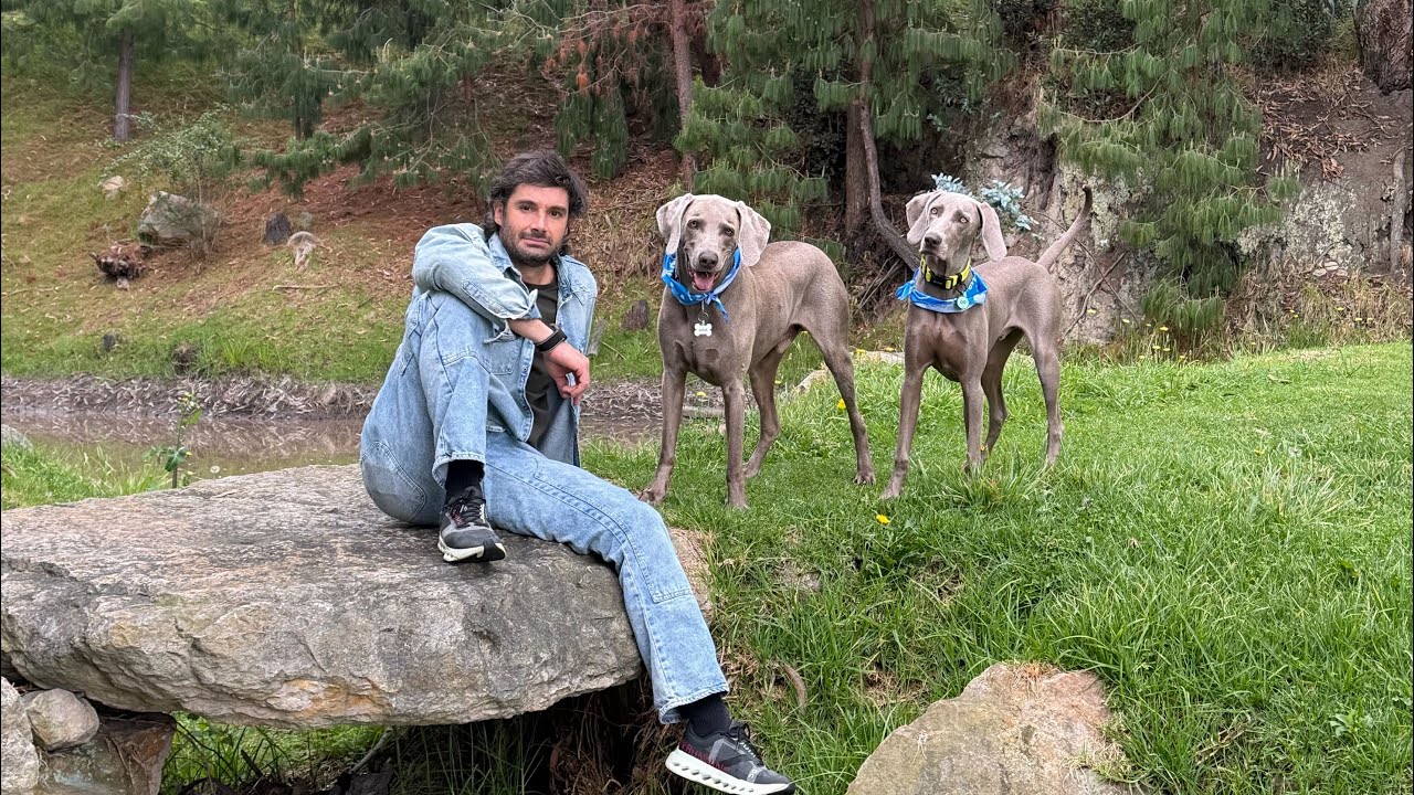 Infraganti nos grabaron 😱🐶