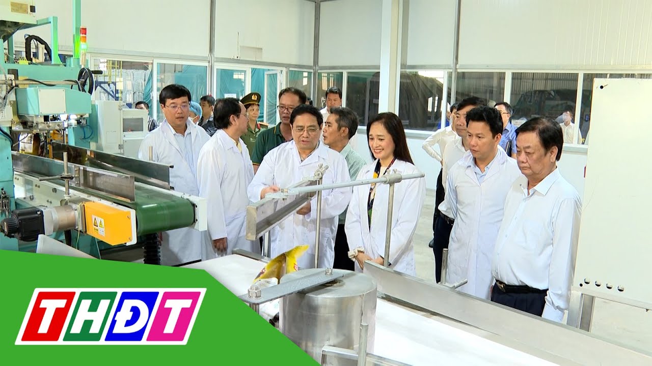 Toàn cảnh Thủ tướng Phạm Minh Chính làm việc tại Đồng Tháp | THDT