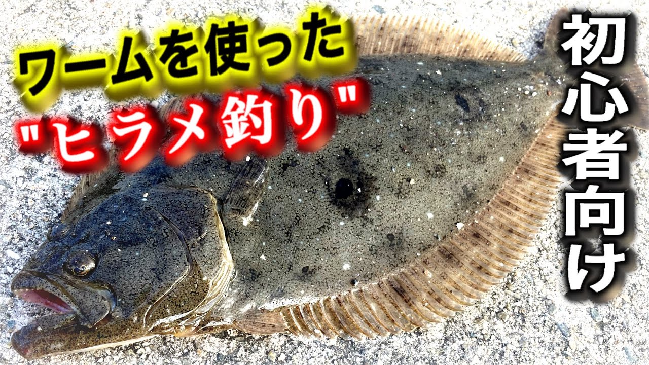 ワームで釣れる最も簡単で真似し易いヒラメ釣り【初心者にオススメ】ライトショアジギング