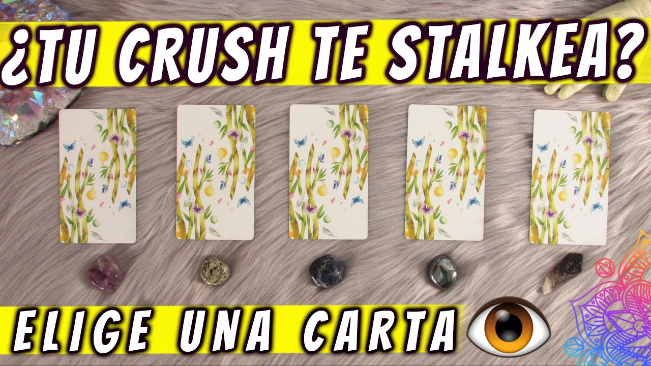 TU CRUSH TE STALKEA? 👁️👁️ - Lectura De Cartas 🐼 - Tarot Interactivo 🔮